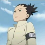 shikadai