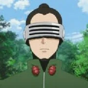 shino