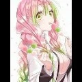 Mitsuri🌸