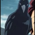 Crow