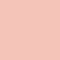 someone (2)