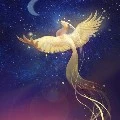 SPIRIT OF PHOENIX