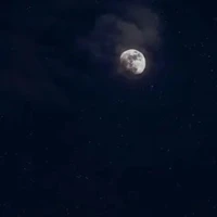 someone