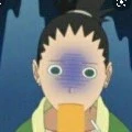 shikadai nanas