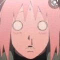 sakura kang bucin