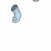 💨Invisible girl🌬