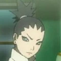shikadai