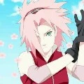 sakura
