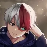todoroki