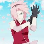 sakura