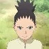 Shikadai