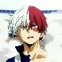 Shoto todoroki