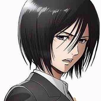 Mikasa
