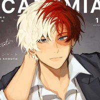 Todoroki