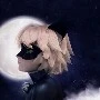 Cat noir