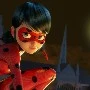 Ladybug