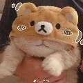 แอดจ้าาา