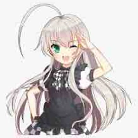 Y/n-Chan