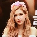 rosé