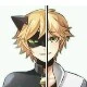 cat noir o adrien