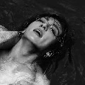 KING JUNGKOOK SHU