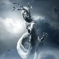 POWERL WHITE DRAGON(ARC)