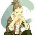 shikadai