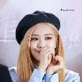 Rosé✨
