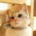 อาจารย์ชาย