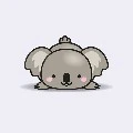 Lazy koala