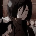 mikasa
