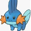 mudkip