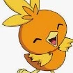 torchic