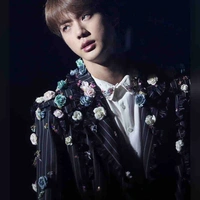 Jin (SeokJin)