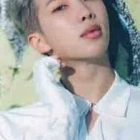 Kim Namjoon 