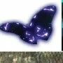 akuma