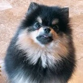 Yeontan