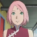 sakura