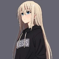 Y/N