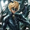 kitty