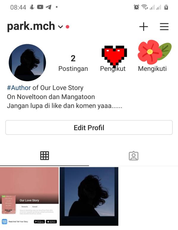 NovelToon