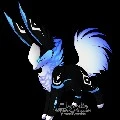 shadow(boy)