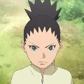 SHIKADAI