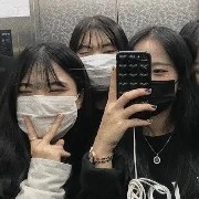 Trio wolves