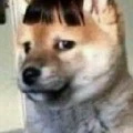 เเอด