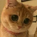 แอดผู้น่ารักกก