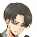 levi