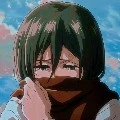mikasa