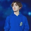 hobi