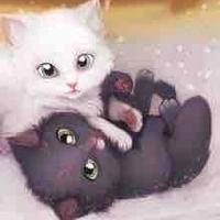 Gatos